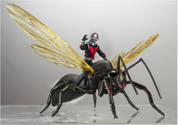 Ant Man with Flying Ant