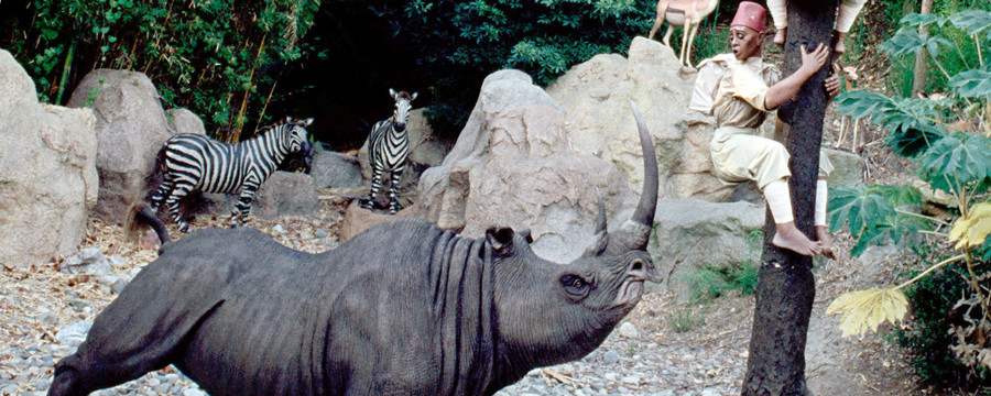 jungle-cruise-sunrise-safari-breakfast-00-full