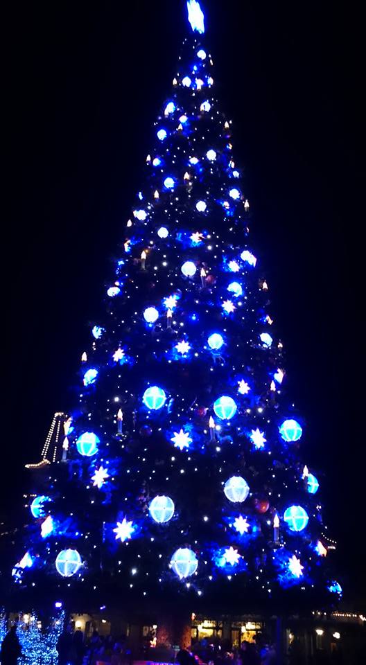 12294894_513544555490276_8971598242364235953_n