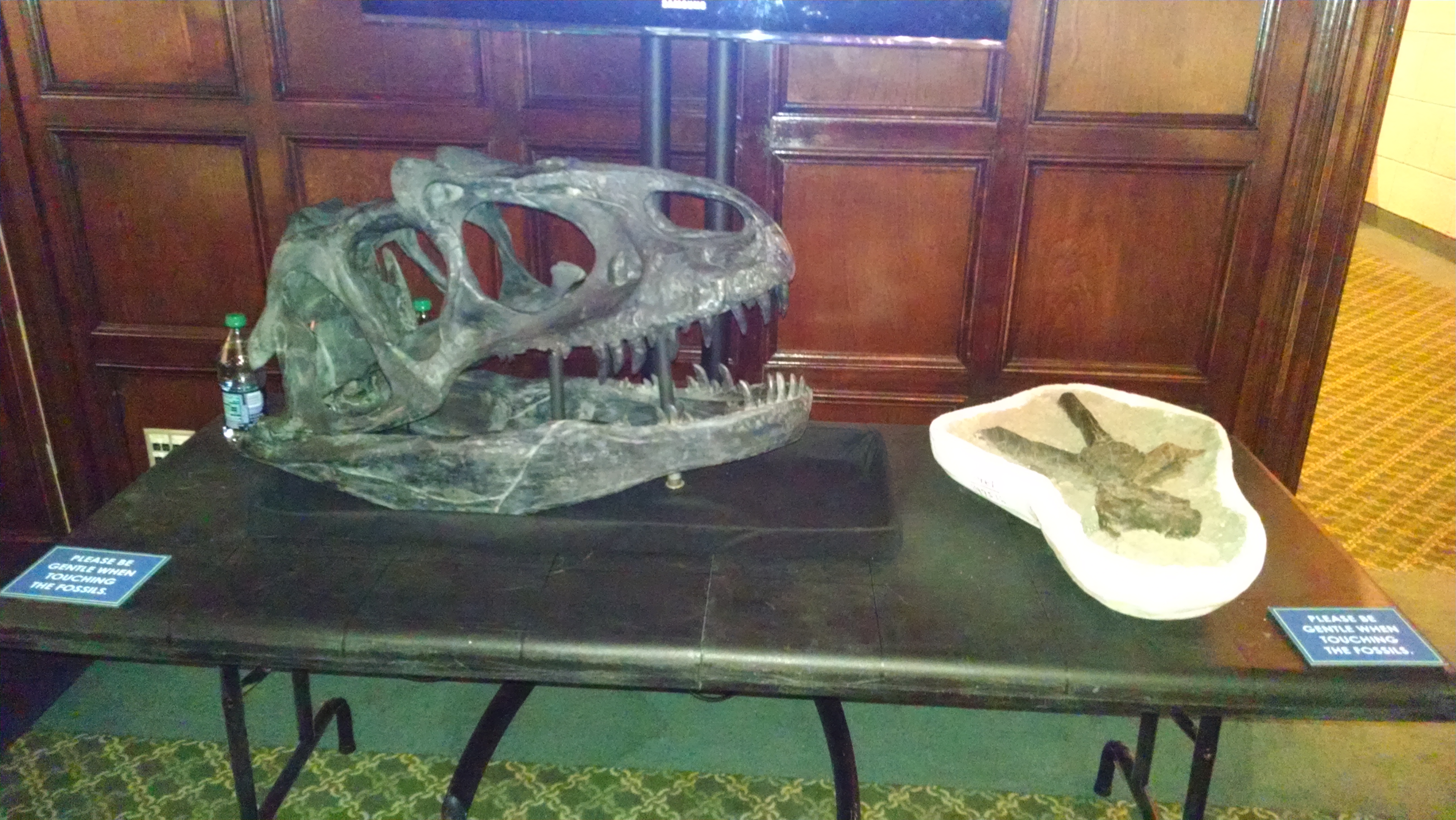 IMG_20151124_184723077