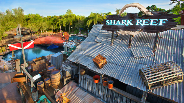 shark-reef-gallery00