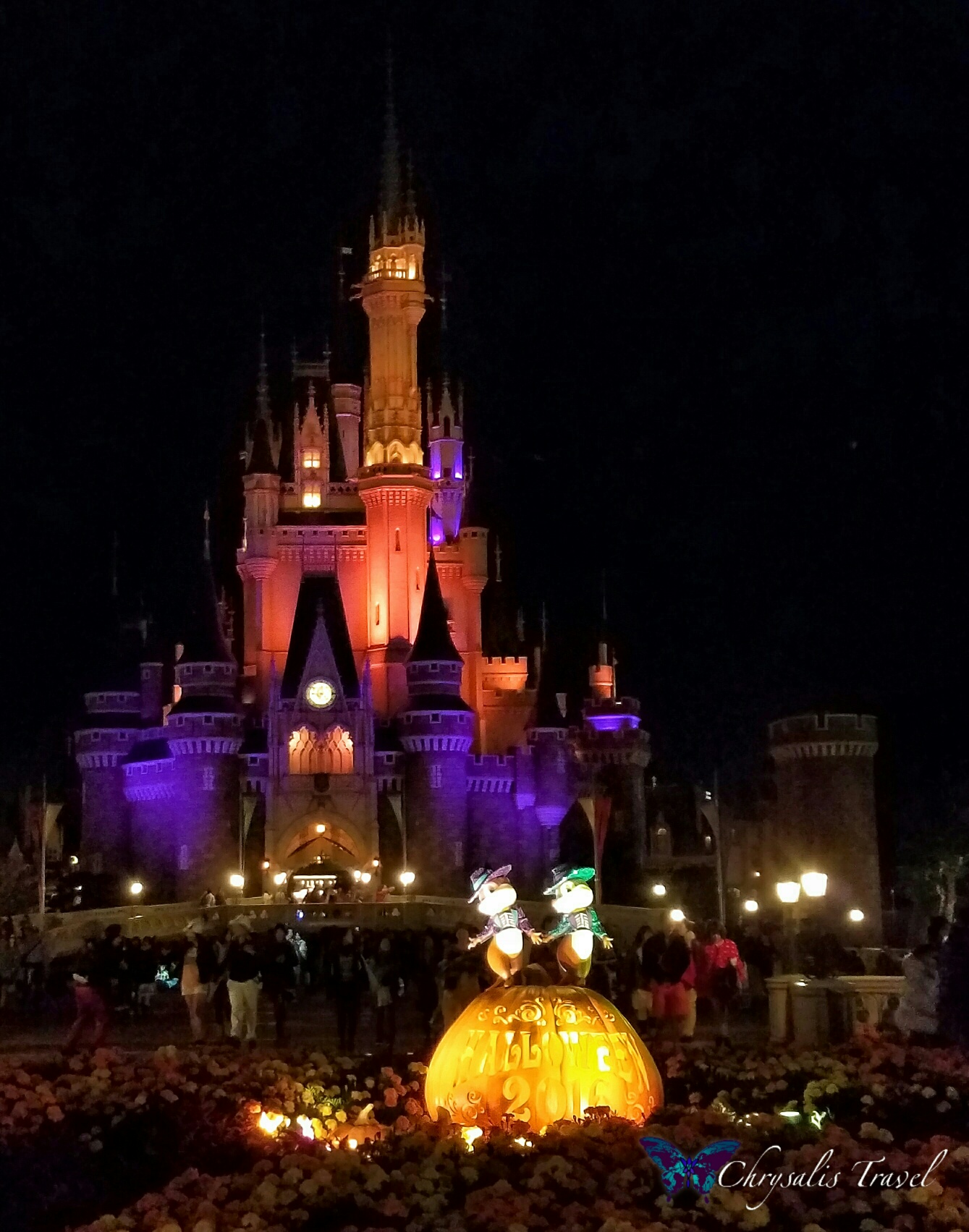 chip-and-dale-pumpkin-in-the-hub