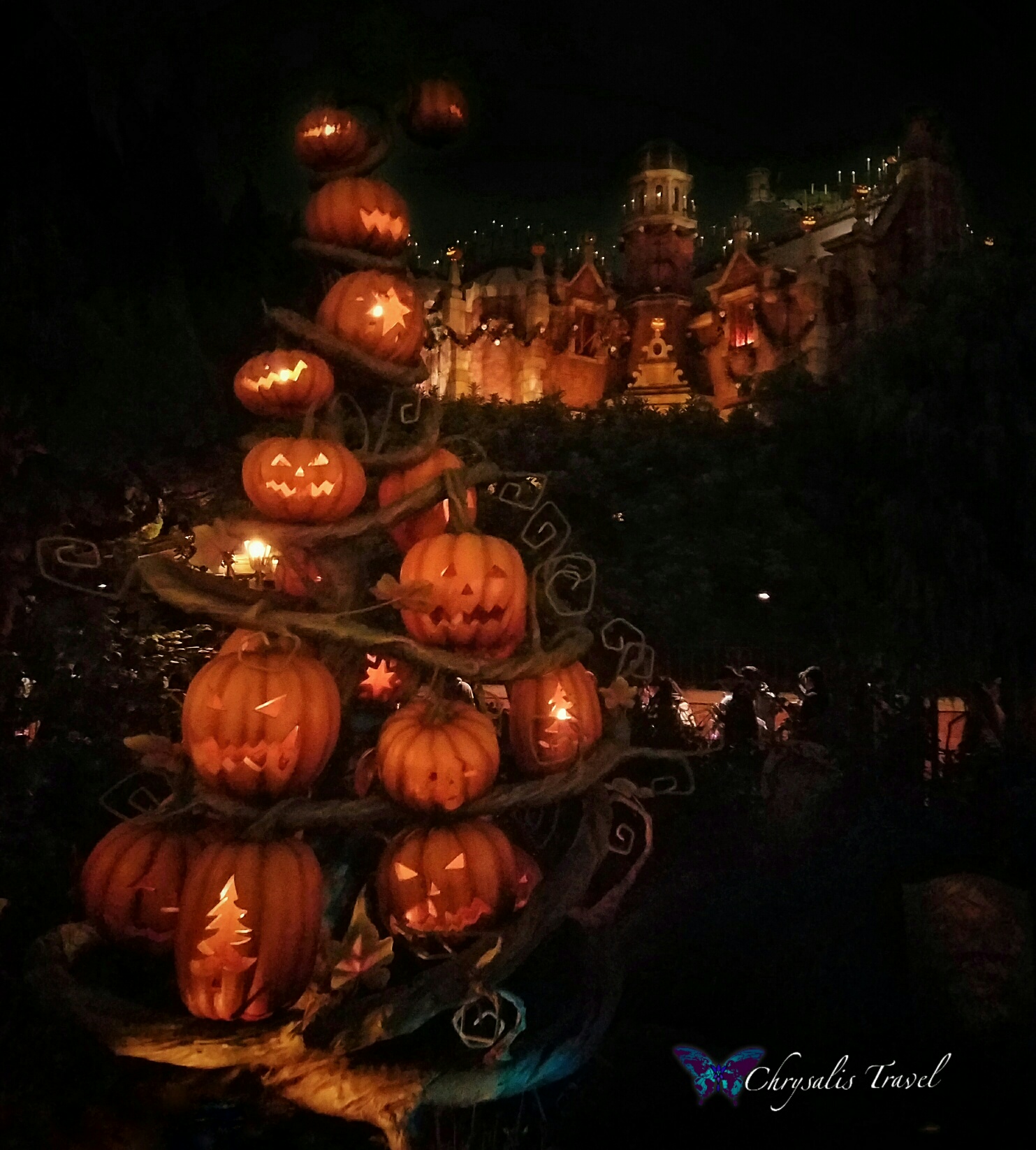 pumpkin-tree-at-the-haunted-mansion-holidays