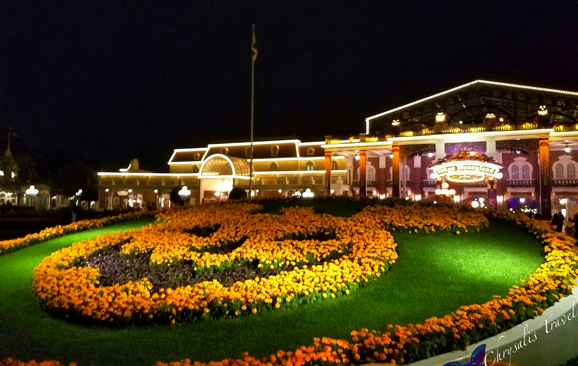 tokyo-disneyland-mickey-pumpkin-topiary