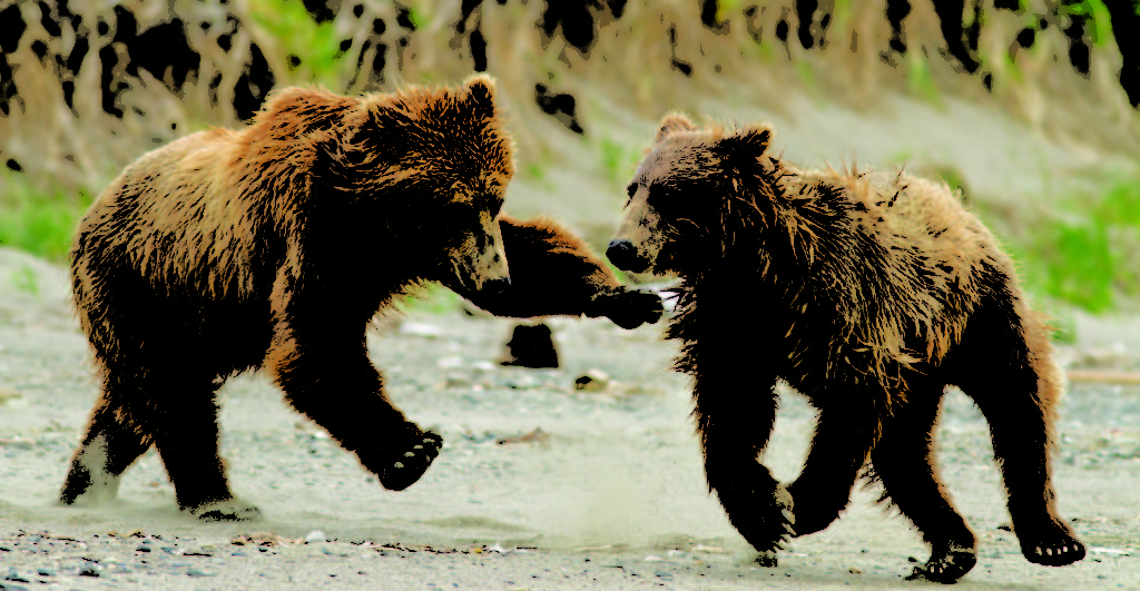 Disneynature "Growing Up Wild"