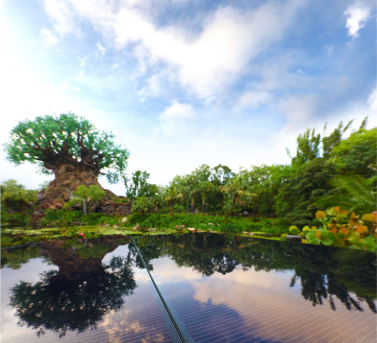 Walt Disney World Expands Solar Energy Efforts
