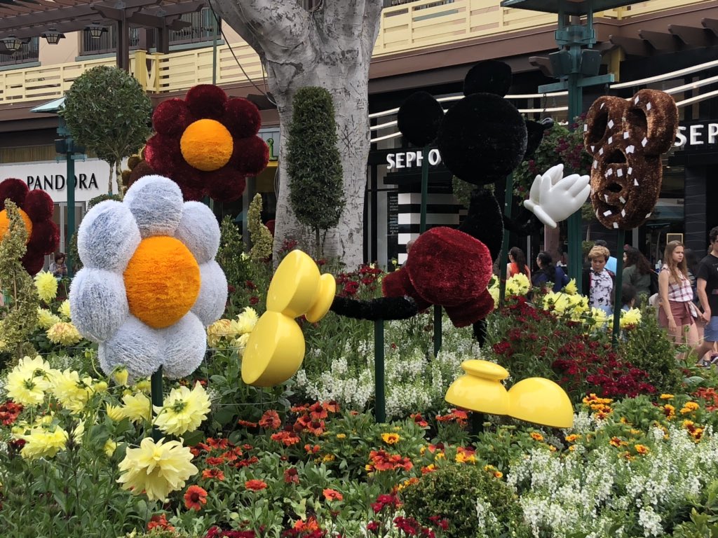 Photo by Mike Celestino