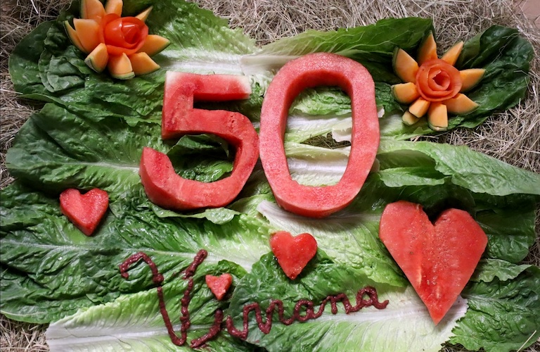 Photo Credit/Landon McReynolds