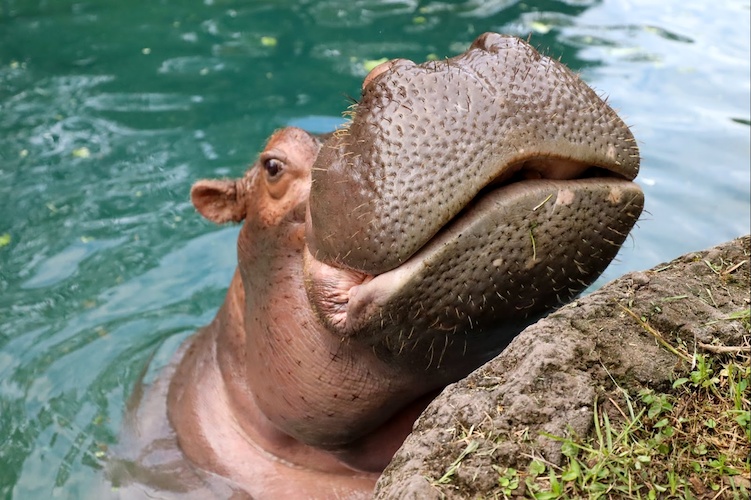 Photo Credit/Landon McReynolds