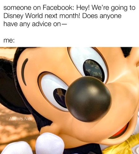 10 Painfully Accurate Memes That Only Make Sense to Disney World Experts - AllEars.Net
