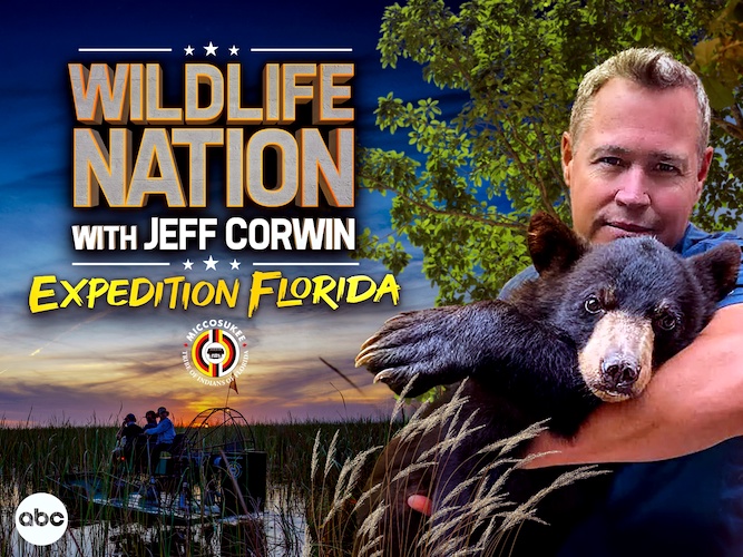 (Hearst Media Production Group)