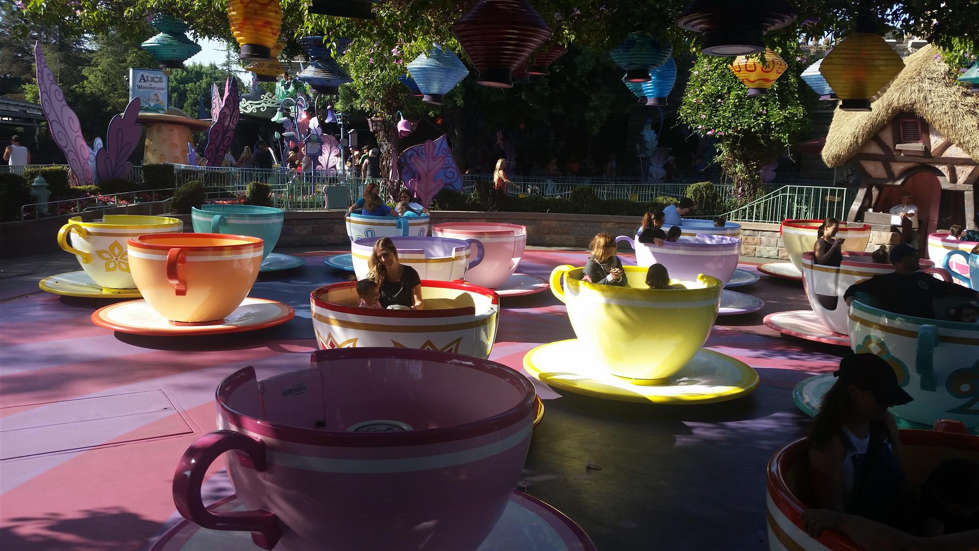 Mad Tea Party - Disneyland - LaughingPlace.com
