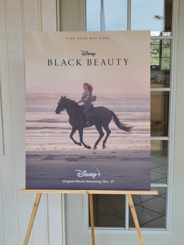 Disney Plus' take on Black Beauty is the ultimate horse girl movie - Polygon