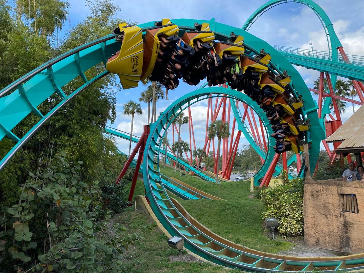 The Scorpion Rollercoaster at Busch Gardens Tampa Florida USA with