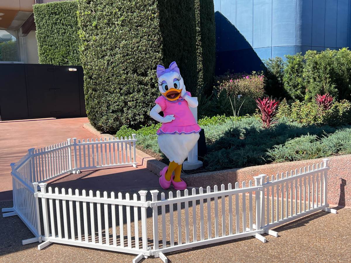 Daisy Duck New EPCOT Meet & Greet Near Guardians of the Galaxy: Cosmic  Rewind - Walt Disney World 