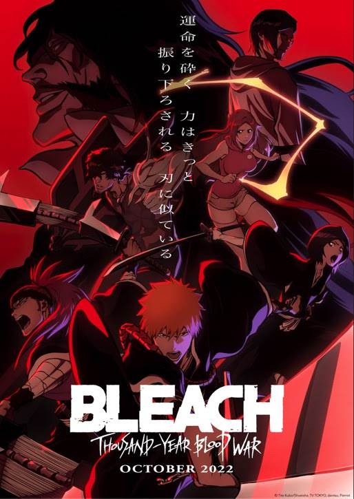 Major Streaming Service Erases Bleach Ahead of Thousand Year Blood War