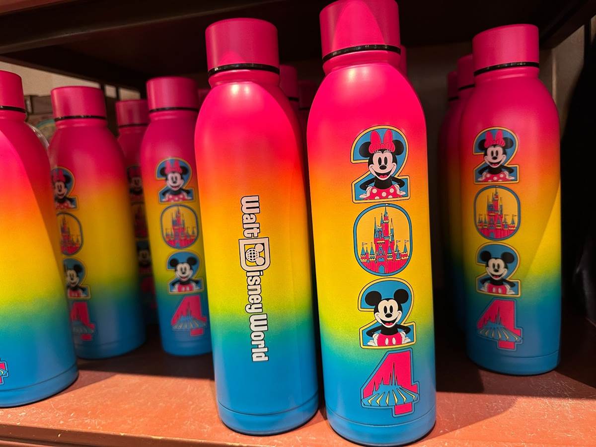 5 Best Water Bottles for Disney World (2024) - Urban Tastebud Disney