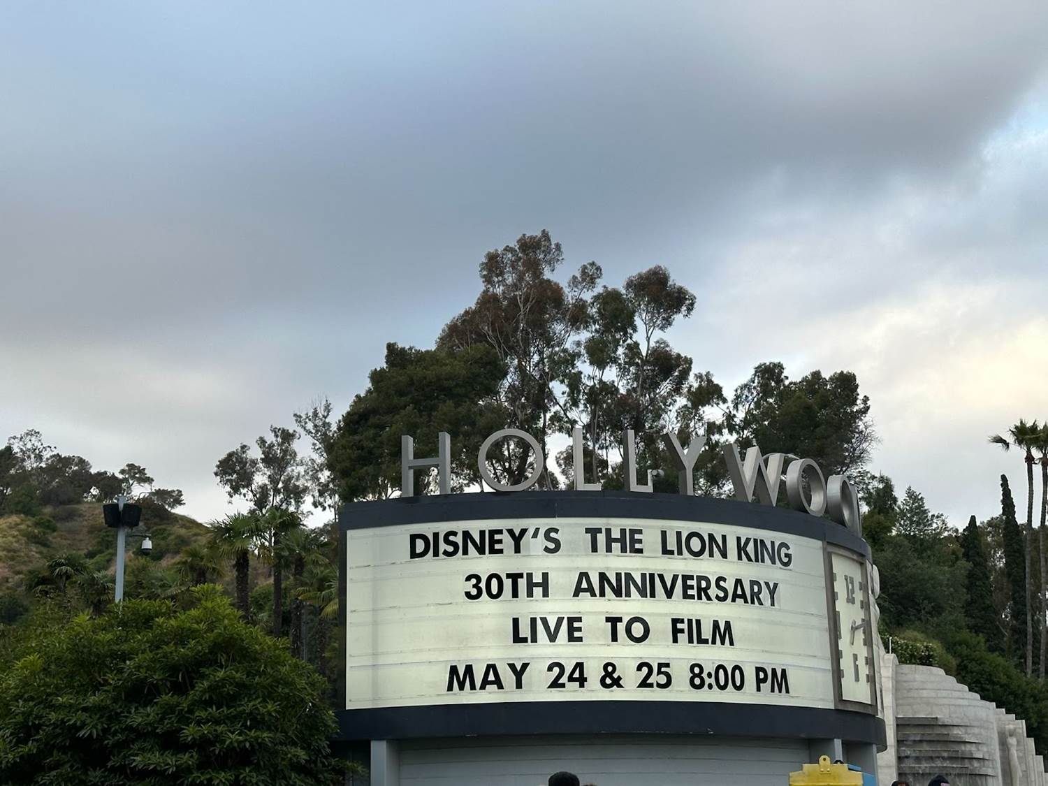 Photo Recap: Disney's 'The Lion King' 30th Anniversary Live-to-Film Concert at the Hollywood Bowl